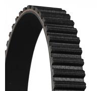 Timing belt CT964 CONTINENTAL CTAM for FIAT PALIO