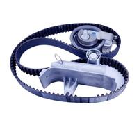 Timing Belt Drive Kit 06B109119B N01100840 Compatible With Avant TT Compatible With VW PASSAT SHARAN Compatible With Skoda OCTAVIA Compatible With Seat