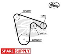 TIMING BELT FOR ALFA ROMEO 145 146 147 155 GATES 5619XS