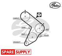 TIMING BELT FOR FIAT REGATA RITMO GATES 5087