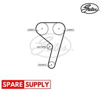 TIMING BELT FOR FORD ECOSPORT FIGO FOCUS GATES T367HOB