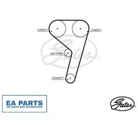 Timing Belt for FORD ECOSPORT FIGO FOCUS GATES T367HOB