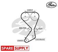 TIMING BELT FOR HYUNDAI HIGHWAY VAN SANTA FÉ SONATA TRAJET GATES 5556XS