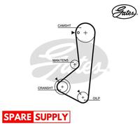Gates Timing Belt 5256XS