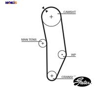 GATES 5010 Timing Belt