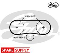 TIMING BELT FOR SKODA AUDI SEAT GATES 5516XS