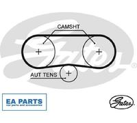 Timing belt 5516XS GATES for VW SKODA SEAT AUDI