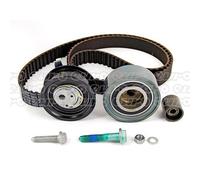 INA 530036110 Timing Belt Kit Fits Audi A3 Seat Cordoba Ibiza Leon Skoda VW Bora