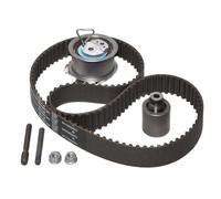 Timing Belt Kit 530020110 INA Set 038109119L 038109119N 038109119P 038109119S