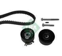INA 530 0198 10 Timing belt kit