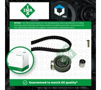 INA 530 0069 10 Timing belt kit