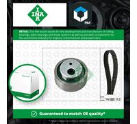 INA 530 0258 10 Timing belt kit