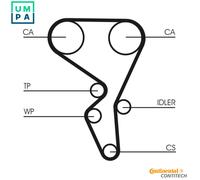 Timing Belt Kit CT1065K2 Continental Set 0831L1 0831T9 0831L0 CT1065 CT864K3 New