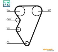 Continental CT708K1 Timing Belt Kit Fits Fso Polonez 3 Lotus Elise Mg TF