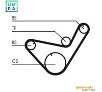TIMING BELT KIT CT714K1 FOR MITSUBISHI BIG/MINI/II/Platform/Chassis L300 L200