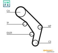 Timing belt kit CT755K1 CONTINENTAL CTAM for AUDI 100 C4 Saloon 100 C4 Avant