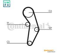 Timing belt kit CT841K1 CONTINENTAL CTAM for MITSUBISHI PROTON