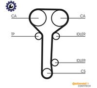 TIMING BELT KIT CT978K2 FOR FORD MONDEO/Mk/II/Turnier/Clipper FOCUS COUGAR 1.8L