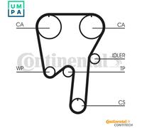 Contitech CT981K1 Timing Belt Kit