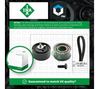 INA 530 0178 10 Timing belt kit
