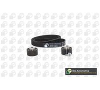 Timing Belt Kit Fits Citroen Fiat Lancia Peugeot Suzuki C8 BGA TB1403K