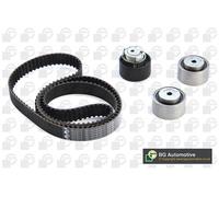 Timing Belt Kit Fits Citroen Jaguar Land Rover Peugeot C5 C6 BGA TB1415K