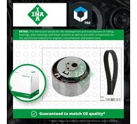 INA 530 0564 10 Timing belt kit