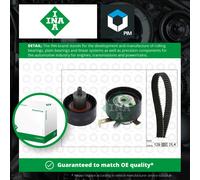 INA 530 0066 10 Timing belt kit