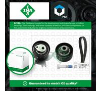 INA 530 0691 10 Timing belt kit