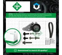 INA 530 0140 10 Timing belt kit