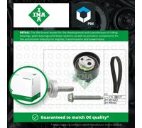 INA 530 0607 10 Timing belt kit