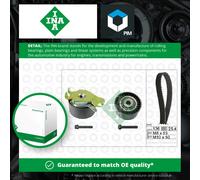 INA 530 0236 10 Timing belt kit