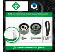 Timing belt kit 530 0095 10 INA for PEUGEOT CITROËN FIAT
