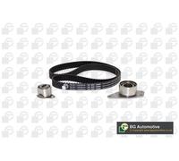 Timing Belt Kit Fits Renault Volvo Espace Kangoo Laguna Megane BGA TB7307K