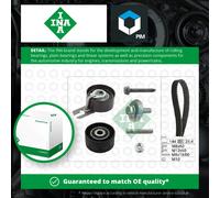 INA 530 0239 10 Timing belt kit
