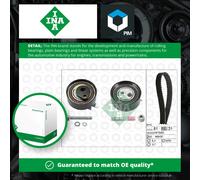 INA 530 0062 10 Timing belt kit