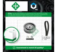 INA 530 0162 10 Timing belt kit