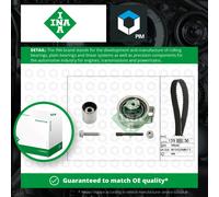 INA 530 0176 10 Timing belt kit