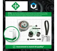 Timing Belt Kit fits AUDI Q5 8RB, FY 2.0D 2008 on Set INA 036109244K 038109244P