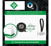 INA 530 0166 10 Timing belt kit