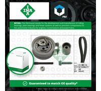 INA 530 0091 10 Timing belt kit