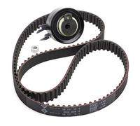 INA 530 0167 10 Timing belt kit