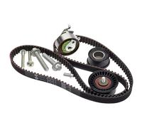 INA 530 0443 10 Timing belt kit