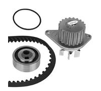 METELLI Water Pump & Timing Belt Kit PEUGEOT 306 1994 - 2001