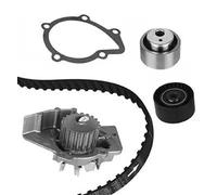 METELLI Water Pump & Timing Belt Kit CITRON DISPATCH I 1999 - 2006