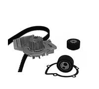 Timing Belt Kit + Water Pump 30-0861-5 METELLI for PEUGEOT CITROËN