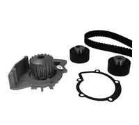Timing Belt Kit + Water Pump 30-0861-6 METELLI for PEUGEOT CITROËN FIAT