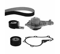 METELLI Water Pump & Timing Belt Kit CITRON C3 AIRCROSS I 2017 ?