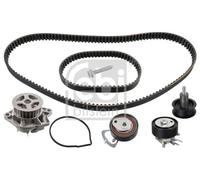 Ferdinand Bilstein Water Pump & Timing Belt Kit 45118 Pack of One