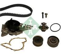 INA 530 0161 30 Water pump and timing belt kit
